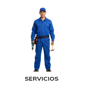 Servicios